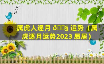 属虎人逐月 🐧 运势（属虎逐月运势2023 易居）